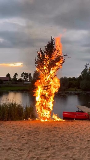 Summer solstice #lithuania #summersolstice | Andrew Miksys