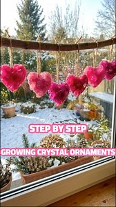 779K views · 4.4K reactions | A classic crystal-growing science craft...