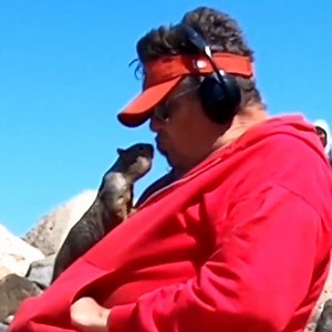 This squirrel gives the man a kiss each time it wants a snack 🤩👏 | Lessons Learned In Life