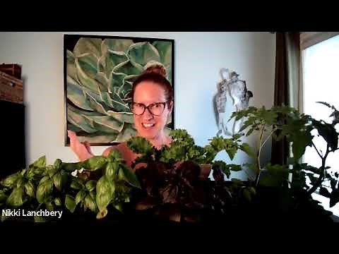 Naturist Interview with Bare Oaks Owner Stephane Deschenes