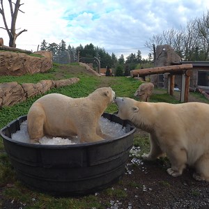 Nora and Amelia Gray are having an ice day | Oregon Zoo