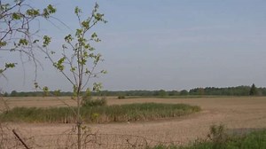 Why Springfield Township residents are pushing against gravel pit proposal