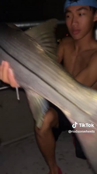 Talm Bout Innit Dance: Express Yourself Through Movement