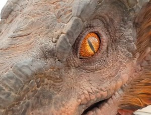 Animatrônico Pyroraptor - Jurassic World Dominion #JurassicPark #JurassicWorld #JurassicWorldRebirth #UniversalPictures #JurassicWorldDominion | Jurassic Park 4.4