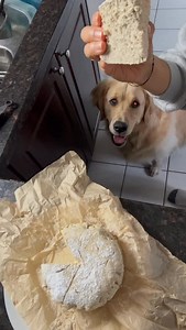 Portion it & Lose Weight #portioncontrol #loseweight #healthylife | Ilmee Mintz