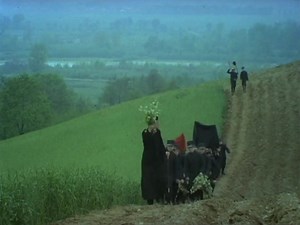 Кошмары / Zmory (1979)