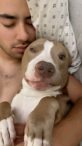 146K views · 10K reactions | This is why ❤️ #pitbulls #doglover #dogvideo #fbvideo #dogsoffacebook #cutepets #dogs #doglovers #doglife #puppylovd | Knight & Aston | Facebook