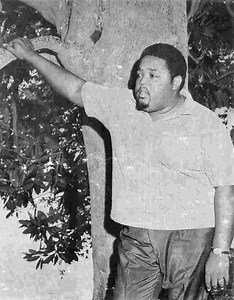 Lee Moses - Alchetron, The Free Social Encyclopedia