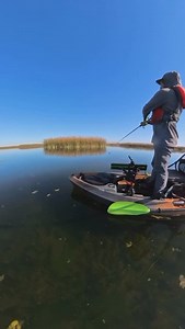 2.3K views · 58 reactions | Horny Toads — bass love ‘em. Good work, @jokenfujitsu #hornytoad #zoombait #kayakfishing | Zoom Bait | Facebook