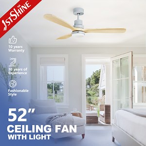 [Hot Item] 1stshine Ceiling Fan DC Motor Modern Smart Ceiling Fan with Light