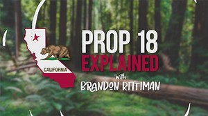 CA Prop 18 results: Voting for 17-year-olds in primary elections