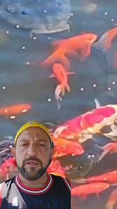 Crapul mananca pestisori #fishing | Razvan Nita