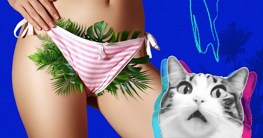 ‘Full Bush In A Bikini’ Is Trending On TikTok. Here's Why It's A Thing.