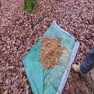 18K views · 158 reactions | Building AMAZING shelter in the MIDDLE of an OLD OAK tree. Cozy and SAFE bushcraft shelter | Mr.Prokan Bushcraft | Facebook