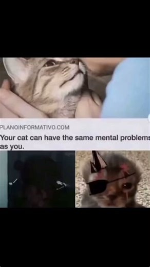 Victor von tumbleweed on Instagram: "Red Robin is a superhero identity used by multiple characters in the DC Comics universe, most notably by **Tim Drake**, the third person to become Batman’s sidekick, Robin. After serving as Robin for many years, Tim adopts the mantle of Red Robin to distinguish himself from other versions of the Robin character. As Red Robin, Tim continues to fight crime, often working alongside Batman or the Teen Titans. He is known for his intelligence, detective skills, an