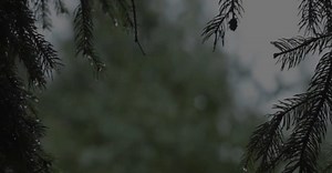 Vidéo de INNORECORDS PhotoVideos sur Pexels