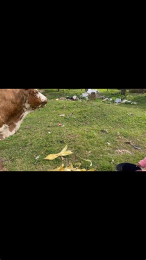 Philani Pman Philani on Reels