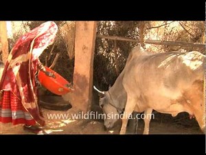 Woman fetches water from a well in Rajasthan