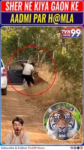 142K views · 2.8K reactions | SHER NE KIYA GAON KE AADMI PAR H@MLA...