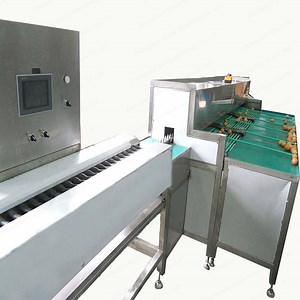 [Hot Item] Chicken Eggs Brush Washing Machine Duck Egg Drying Sterilization Production Line