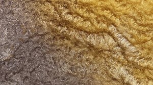 clip-1095433289-gold-dust-particles-fly-slow-motion-air