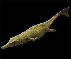 Metriorhynchus - Alchetron, The Free Social Encyclopedia