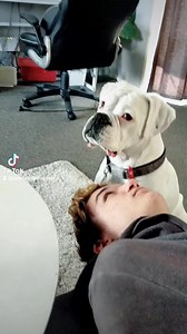 60 reactions | PEARL WHITE on Reels | Facebook