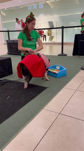 Millcreek Mall on Reels