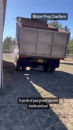 DON’T scroll past this post just because it is not a cute animal. Sanctuary work is hard and endless. Providing a safe place for sanctuary animals is as invaluable as their rescue but rarely gets the attention it deserves. This week gravel was added to the cow barn and 18 stall mats were measured and cut so that our bovine can have a safe dry home for the coming winter and beyond. This project cost $1500 and we hope you will support the importance hard work we do at Green Acres and donate today 