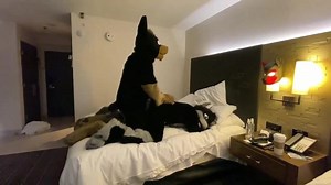 Gay Furry Twitter Cumpilation 2: The Humpening