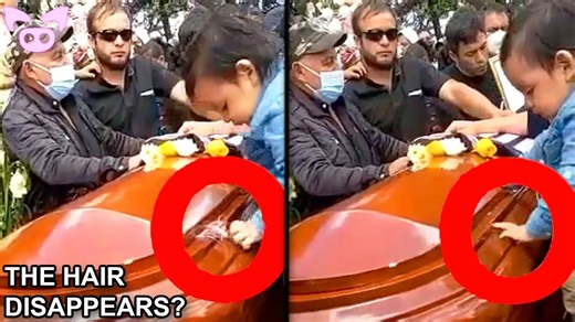 59K views · 1.8K reactions | Is This Person Buried Alive. Plus Other Scary Videos! | Slapped Ham | Facebook