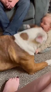 Ti voglio tanto bene 💖💖💖 | Gabriella Panizza