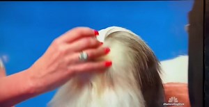 1.8K views · 43 reactions | My answer would’ve been,“Rusty Young” | Poco | Facebook