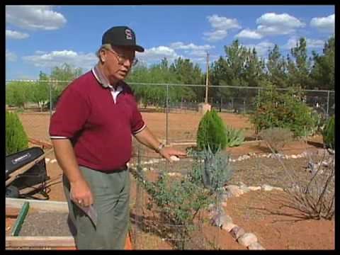 How To Rabbit-Proof A Garden