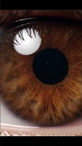 Zooming Into Human Eye Until You See This