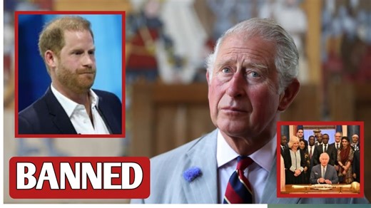 1.3K views · 44 reactions | King Charles Bans Harry from All Commonwealth Countries: The Secret Move Revealed! | Celebrity | Facebook