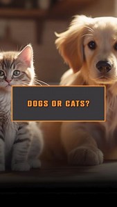 Why Dog Coins Dominate the Meme Coin Battle . . #crypto #cryptocurrency #cryptocurrencies #bitcoin #cryptobull #cryptobullrun #altcoins #investing | Lark Davis | Facebook