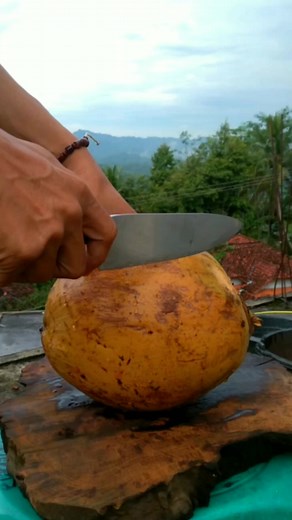 Kupas kulit kelapa #asmr #peeling #coconut #shell #easily #and #crisp #is #very #satisfying #reelsvidio #viralfacebook | Yoan Silet