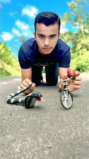 Remote Control Snake & Mini Cycle Egg Toy | Unboxing and Real Road Testing