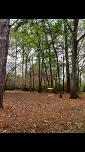 6.6K views · 55 reactions | Guess the park  #MSStateParks #Mississippi #FindYourselfOutdoors | Mississippi State Parks | Facebook