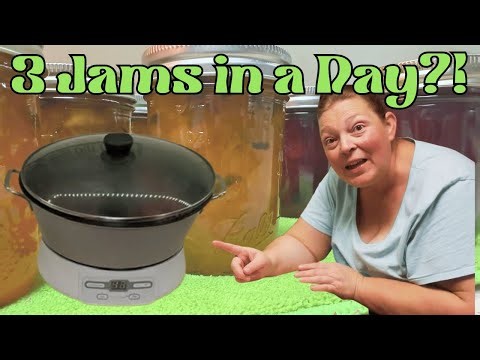 Thrifted Jam & Jelly Maker Put to the Test! Plum Jam Recipe #everybitcountschallenge