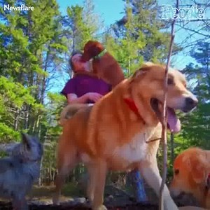 This pup loves his owner. ❤️ | People