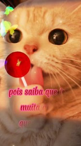 O pensamento do dia | Mensagens interessantes