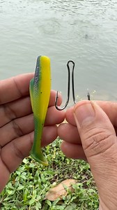 387K views · 1.2K reactions | Boost Your Fishing Success with Correct Soft Lure Hooking #Fishing #Tutorial #DIYFishingRig #FishingHacks #FishingDIY #DIYFishingGear #FishingTips #AnglerDIY #DIYFishingTools #FishingSetup #FishermanLife #FishingCraft #DIYLures #HomemadeFishing #FishingProjects #DIYAngler #FishingMods #FishingGearHack #CreativeFishing #FishingWorkshop #FishingInnovation #FishingIndonesia | Kang Muhidin Fishing | Facebook