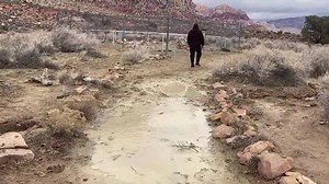 Spring Mountain Ranch State Park on Reels