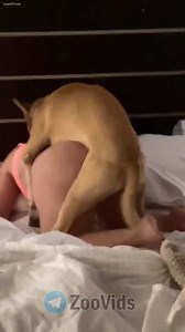 Husband films his wife with dog