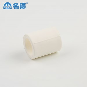 [Hot Item] Durable PPR Pipe Fittings Plastic End Caps for Plumbing