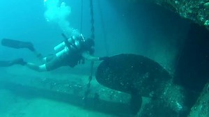 14K views · 74 reactions | Imagine diffusing an explosive in an unpredictable environment. #RCNavy Clearance Divers are #ReadyAyeReady to ensure the continued success of a #StrongSecureEngaged Canada. Canadian Armed Forces Department of National Defence CAF Operations | Royal Canadian Navy | Facebook