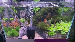 Amazon.com : FRIRODSAY Aquarium Sponge Filter Quiet Fish Tank Filters with Air Stone Bio Ceramic Media Balls Corner Filter for Fry, Betta, Shrimp, Nano : Pet Supplies