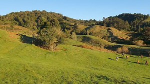 10K views · 709 reactions | Outside the back door, surrounded by friends of all shapes and fluffiness. | Geoffry The Conqueror | Facebook